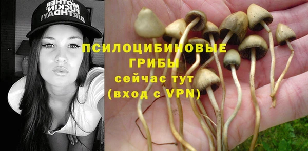 спайс Баксан