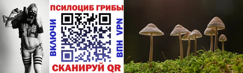 Псилоцибиновые грибы Magic Shrooms  блэк спрут вход  Барабинск 